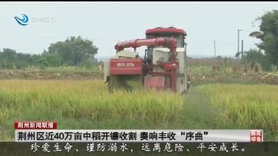 荆州区近40万亩中稻开镰收割 奏响丰收“序曲”