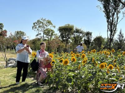 国庆假期 荆州市中心城区各公园游园迎客20万人次