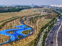 图集 | 生态绿廊串起城市新风景