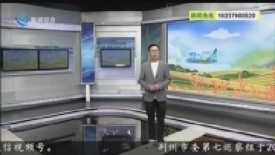 强化小麦拌种措施落实 防病害促产量