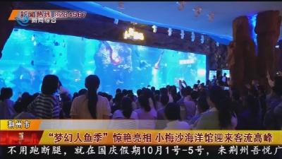 “梦幻人鱼季”惊艳亮相 小梅沙海洋馆迎来客流高峰