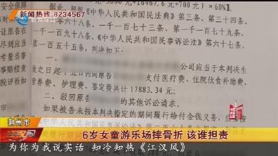 6岁女童游乐场摔骨折 该谁担责