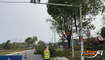 松滋市开展国省干线“疏枝亮牌”专项整治