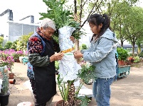 图集|花木飘香 绿植美景迎客来