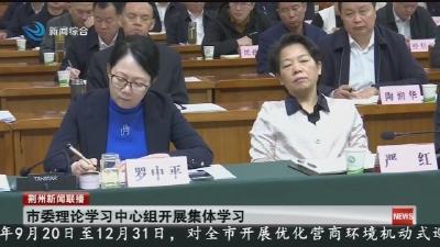 市委理论学习中心组开展集体学习