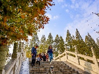 图集|荆州古城秋意浓