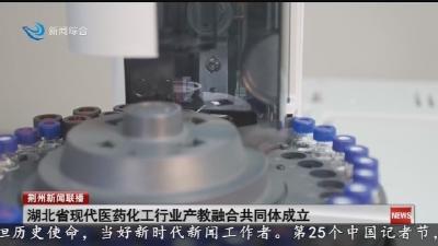 湖北省现代医药化工行业产教融合共同体成立