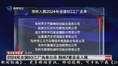 2024年全国5G工厂名单公示荆州7家企业入围