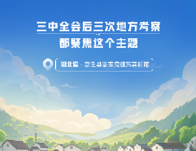 一见·三中全会后三次地方考察，都聚焦这个主题 