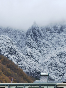 雪还在下！湖北“冻”真格了