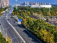 图集 | “叶”色斑斓 秋冬限定美景上线