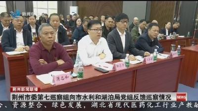 荆州市委第七巡察组向市水利和湖泊局党组反馈巡察情况