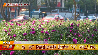 “一路一花”扮靓张李家渊  顺手牵“花”却让人闹心