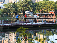 图集|古荆州：秋意浓 色“醉”人