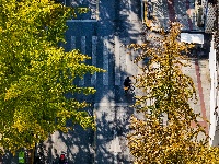 图集 | “叶”色斑斓 秋冬限定美景上线