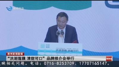 “洪湖莲藕 清甜可口” 品牌推介会举行