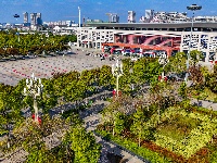 图集 | “叶”色斑斓 秋冬限定美景上线