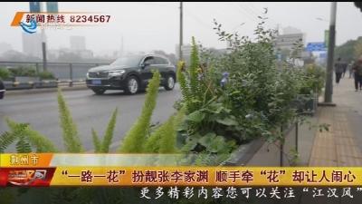 “一路一花”扮靓张李家渊 顺手牵“花”却让人闹心