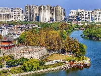 图集 | “叶”色斑斓 秋冬限定美景上线