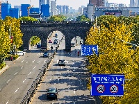 图集 | “叶”色斑斓 秋冬限定美景上线