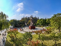 图集 | “叶”色斑斓 秋冬限定美景上线