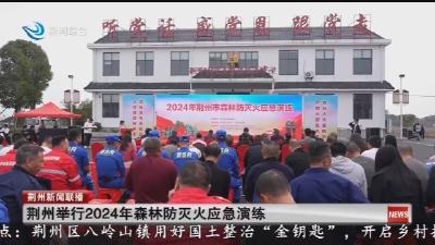 荆州举行2024年森林防灭火应急演练