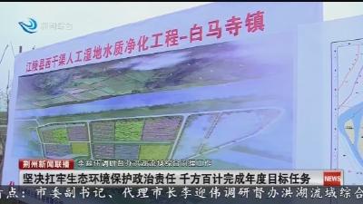 李迎伟调研督办洪湖流域综合治理工作