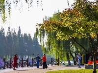 图集 | “叶”色斑斓 秋冬限定美景上线