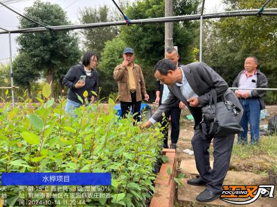 荆州市科技局组织科技特派员开展惠农下乡活动