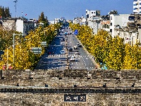 图集 | “叶”色斑斓 秋冬限定美景上线