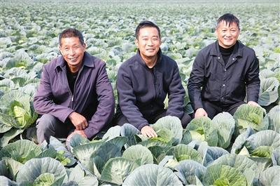 “没想到总书记来到我家的田里” ——习近平总书记在咸宁市嘉鱼县潘家湾镇蔬菜长廊考察回访记