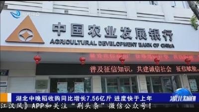 媒眼看荆州：湖北中晚稻收购同比增长7.56亿斤 进度快于上年