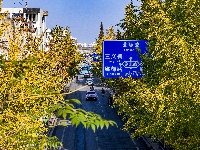 图集 | “叶”色斑斓 秋冬限定美景上线