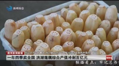 一年四季卖全国 洪湖莲藕综合产值冲刺百亿元