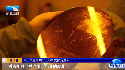 奋进中的湖北 | “中国屏”里程碑！全国首条印刷OLED产线在汉量产