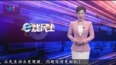 鲜花扮靓城市 大扫除迎新年