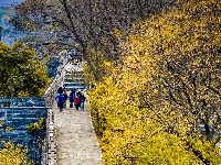 人文之美  魅力荆州！中国摄影家协会第八期地市级摄影家协会负责人培训班学员作品选登（之二）