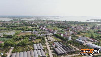 沙市区：强化共同缔造 推进城乡一体化