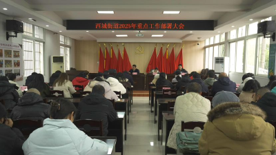 荆州区西城街道2025年重点工作