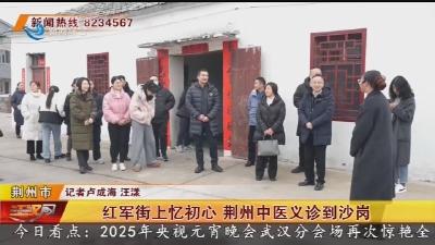 红军街上忆初心 荆州中医义诊到沙岗