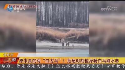 原来真的有“白龙马”!危急时刻他身骑白马跳水救人