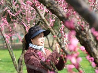 图集 | 浅山森林美术园：腊梅飘香 红梅争艳