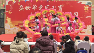 荆州区李埠镇：欢歌笑语庆元宵 共绘“荷”美幸福年