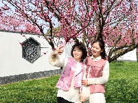 图集 | 浅山森林美术园：腊梅飘香 红梅争艳