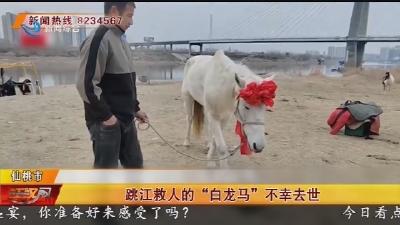 跳江救人的“自龙马”不幸去世