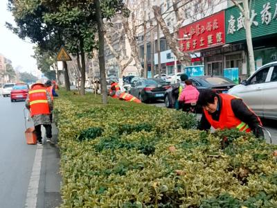 诚心护城 刷新颜值！沙市区开展城市环境大提升专项行动