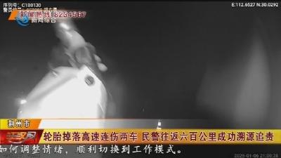 轮胎掉落高速连伤两车 民警往返六百公里成功溯源追责