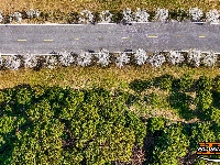 美图丨长湖樱花谷“樱花大道”迎浪漫时刻
