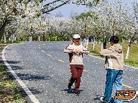 美图丨长湖樱花谷“樱花大道”迎浪漫时刻