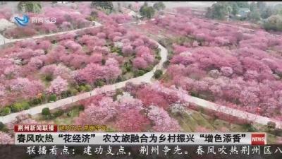 春风吹热“花经济”农文旅融合为乡村振兴“增色添香”